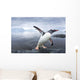 Gentoo Penguin leaping from ocean onto rocky shoreline near rookery Wall Mural
