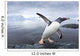Gentoo Penguin leaping from ocean onto rocky shoreline near rookery Wall Mural