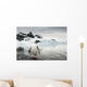 Gentoo Penguin standing in shallow water along glacial coastline Wall Mural