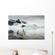 Gentoo Penguin standing in shallow water along glacial coastline Wall Mural