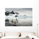 Gentoo Penguin standing in shallow water along glacial coastline Wall Mural