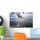 Gentoo Penguin leaping from water to rocky shoreline Wall Mural