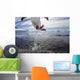 Gentoo Penguin leaping from water to rocky shoreline Wall Mural