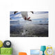 Gentoo Penguin leaping from water to rocky shoreline Wall Mural