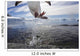 Gentoo Penguin leaping from water to rocky shoreline Wall Mural