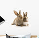 Two adorable rabbits Wall Decal