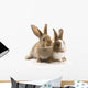 Two adorable rabbits Wall Decal