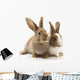 Two adorable rabbits Wall Decal