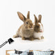 Two adorable rabbits Wall Decal