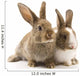Two adorable rabbits Wall Decal