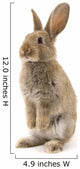 Adorable Rabbit White Wall Decal