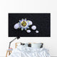 Passion Beauty and Wellness