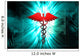 Medical Caduceus Sign Wall Mural