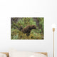 Brown bear cubs sitting by the side of mother Wall Mural