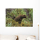Brown bear cubs sitting by the side of mother Wall Mural