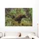 Brown bear cubs sitting by the side of mother Wall Mural