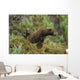 Brown bear cubs sitting by the side of mother Wall Mural