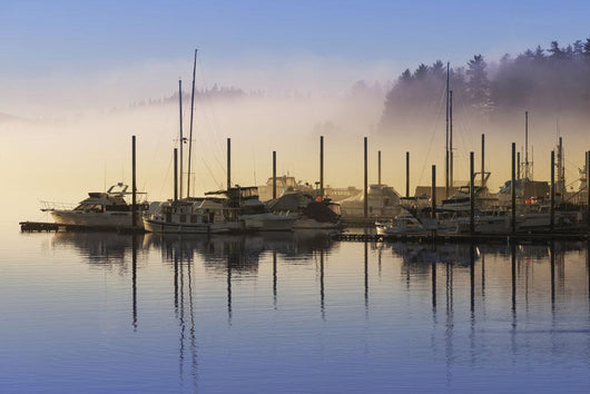 Fog lifting over Auke Bay Harbor, Juneau, Southeast Alaska Wall Mural