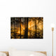 Sunrays peak through fog and the trees of the Tongass National Forest Wall Mural