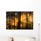 Sunrays peak through fog and the trees of the Tongass National Forest Wall Mural