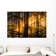 Sunrays peak through fog and the trees of the Tongass National Forest Wall Mural