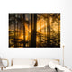 Sunrays peak through fog and the trees of the Tongass National Forest Wall Mural