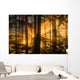 Sunrays peak through fog and the trees of the Tongass National Forest Wall Mural