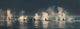 A group of Orca whales come to the surface on a calm day in Lynn Canal Wall Mural