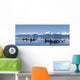 A group of Orca whales come to the surface on a calm day in Lynn Canal Wall Mural