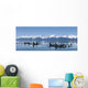 A group of Orca whales come to the surface on a calm day in Lynn Canal Wall Mural