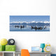 A group of Orca whales come to the surface on a calm day in Lynn Canal Wall Mural