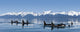 A group of Orca whales come to the surface on a calm day in Lynn Canal Wall Mural