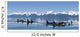 A group of Orca whales come to the surface on a calm day in Lynn Canal Wall Mural