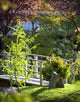 Footbridge in the Japanese Gardens Wall Mural
