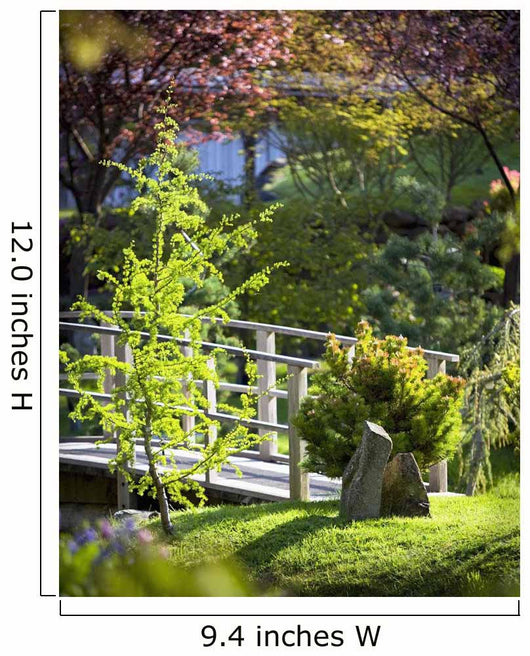 Footbridge in the Japanese Gardens Wall Mural
