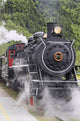 Steam locomotive #73 at downtown depot of White Pass & Yukon Route RR Wall Mural