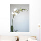 White Orchid Wall Mural