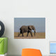 Elefante