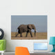 Elefante