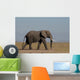 Elefante
