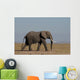 Elefante