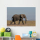 Elefante