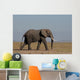 Elefante