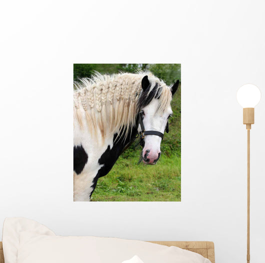 Gypsy Horse Wall Decal