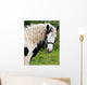 Gypsy Horse Wall Decal