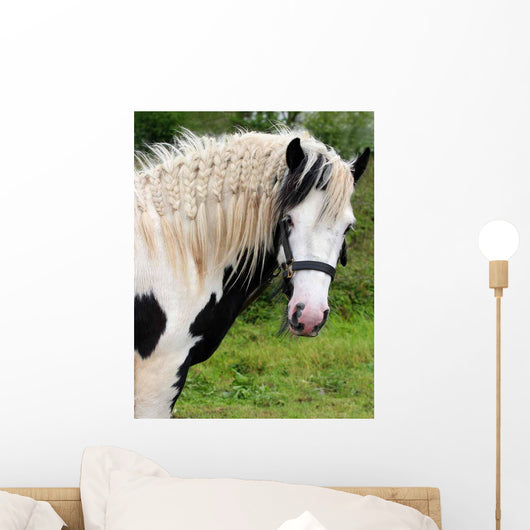 Gypsy Horse Wall Decal