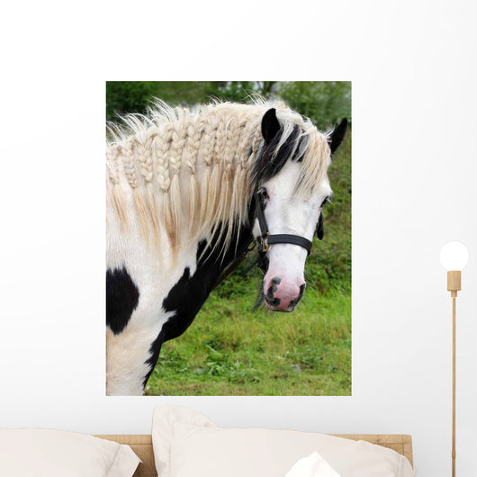 Gypsy Horse Wall Decal