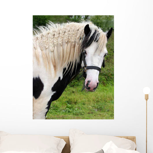 Gypsy Horse Wall Decal