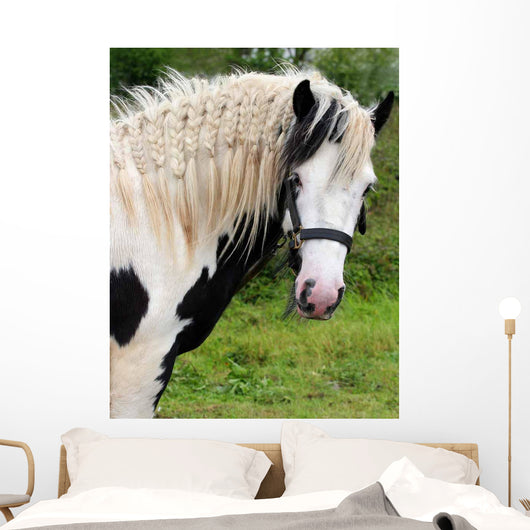 Gypsy Horse Wall Decal