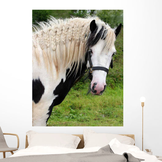 Gypsy Horse Wall Decal